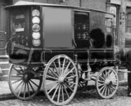 horse-buggy